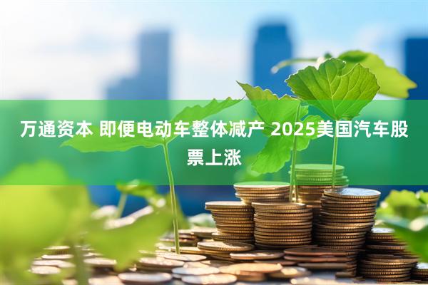 万通资本 即便电动车整体减产 2025美国汽车股票上涨